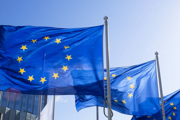Прямые иностранные инвестиции в Европу сократились на 7%