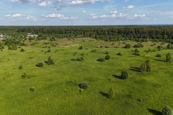 В Подмосковье изъяли почти 490 га заброшенной сельхозземли